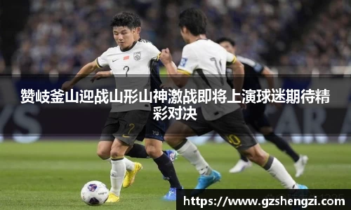 三亿体育官方网站