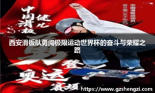 三亿体育有限公司