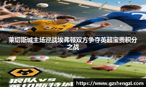 莱切斯城主场迎战埃弗顿双方争夺英超宝贵积分之战